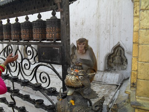 Moulins à prières, tradition du bouddhisme